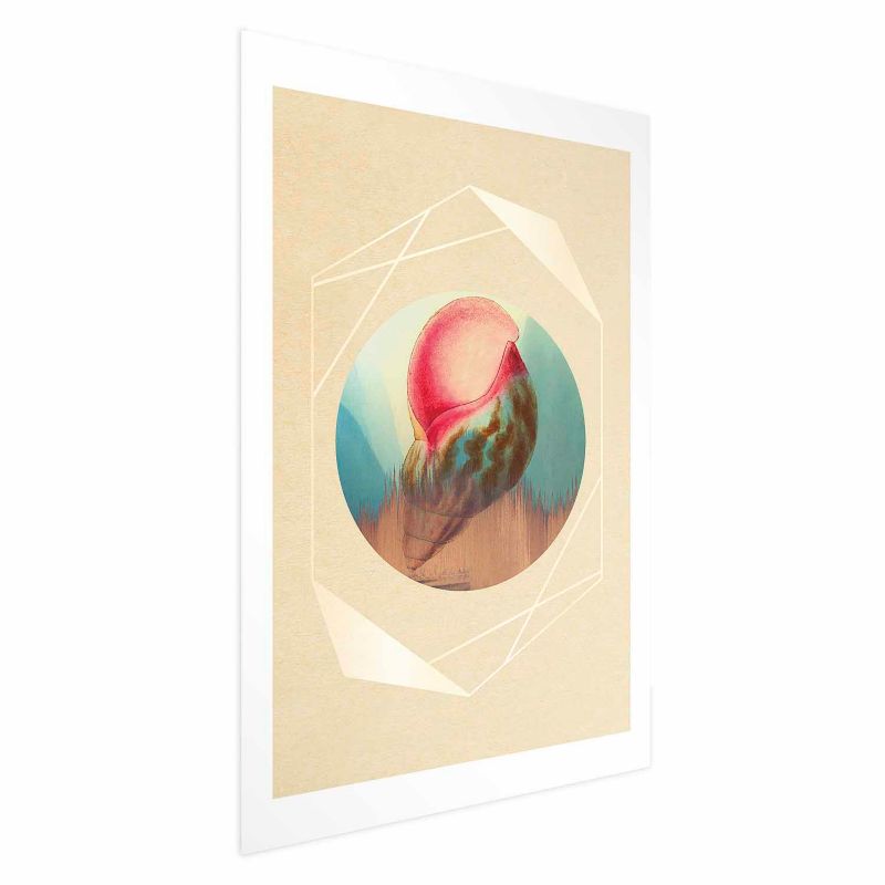 Plakat Artgeist Muszla 60x90 cm bez ramy 1 szt
