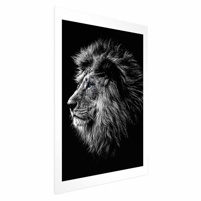 Plakat Artgeist Niebieskooki lew 60x90 cm bez ramy 1 szt