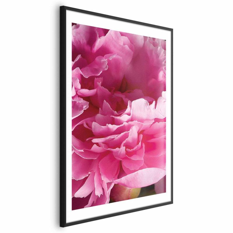 Plakat Artgeist Piękne piwonie 29,7x42 cm z ramą czarną 1 szt