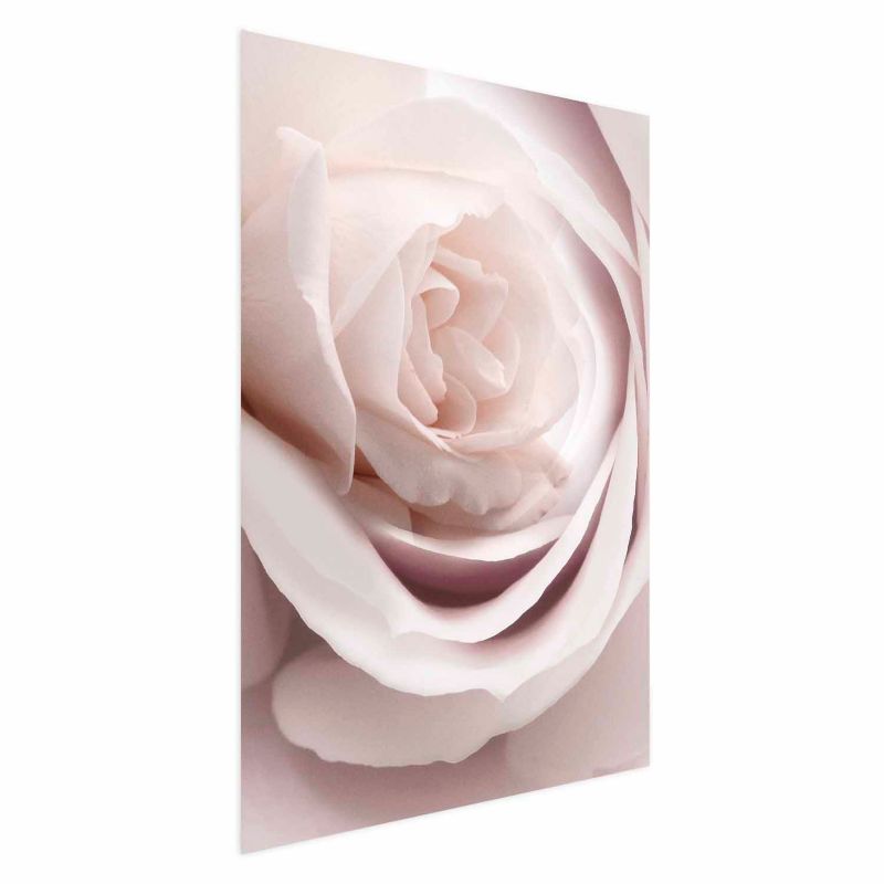 Plakat Artgeist Porcelanowa róża 40x60 cm bez ramy 1 szt