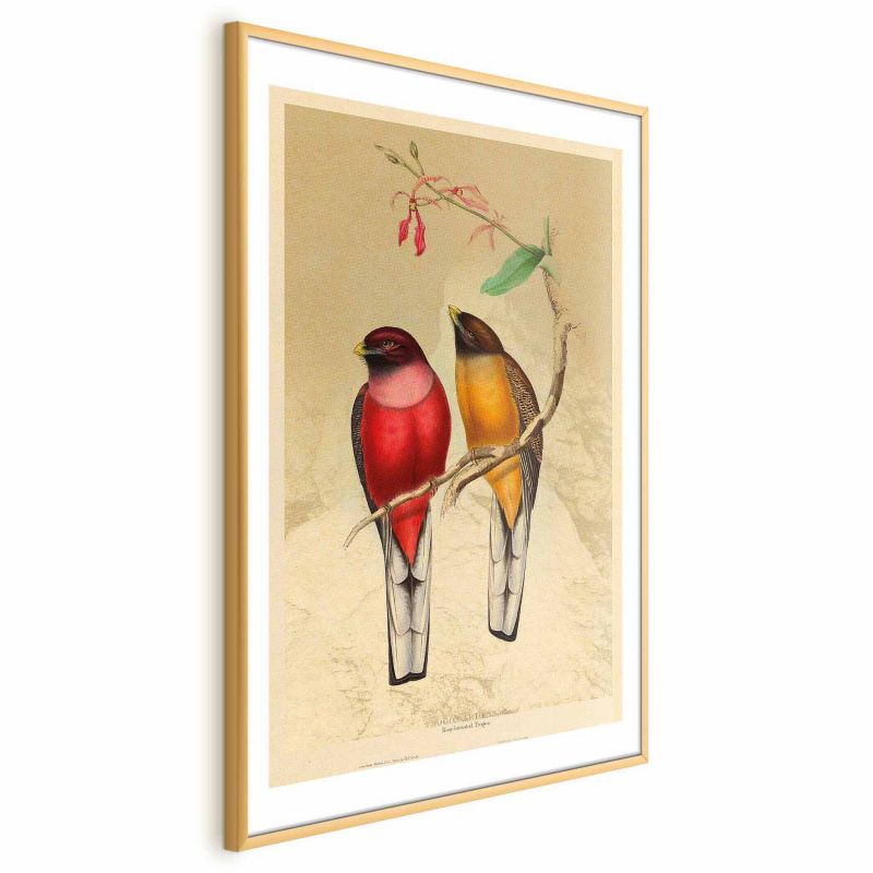 Plakat Artgeist Ptaki na gałązce 60x90 cm z ramą złotą 1 szt