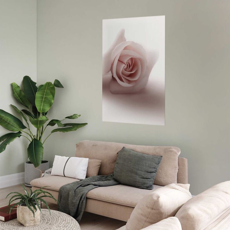 Plakat Artgeist Różany cień 21x30 cm bez ramy 1 szt