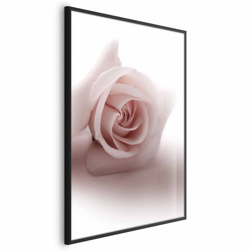 Plakat Artgeist Różany cień 29,7x42 cm z ramą czarną 1 szt