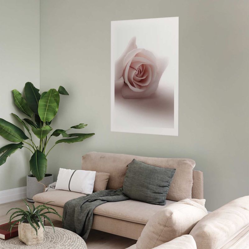 Plakat Artgeist Różany cień 40x60 cm bez ramy 1 szt