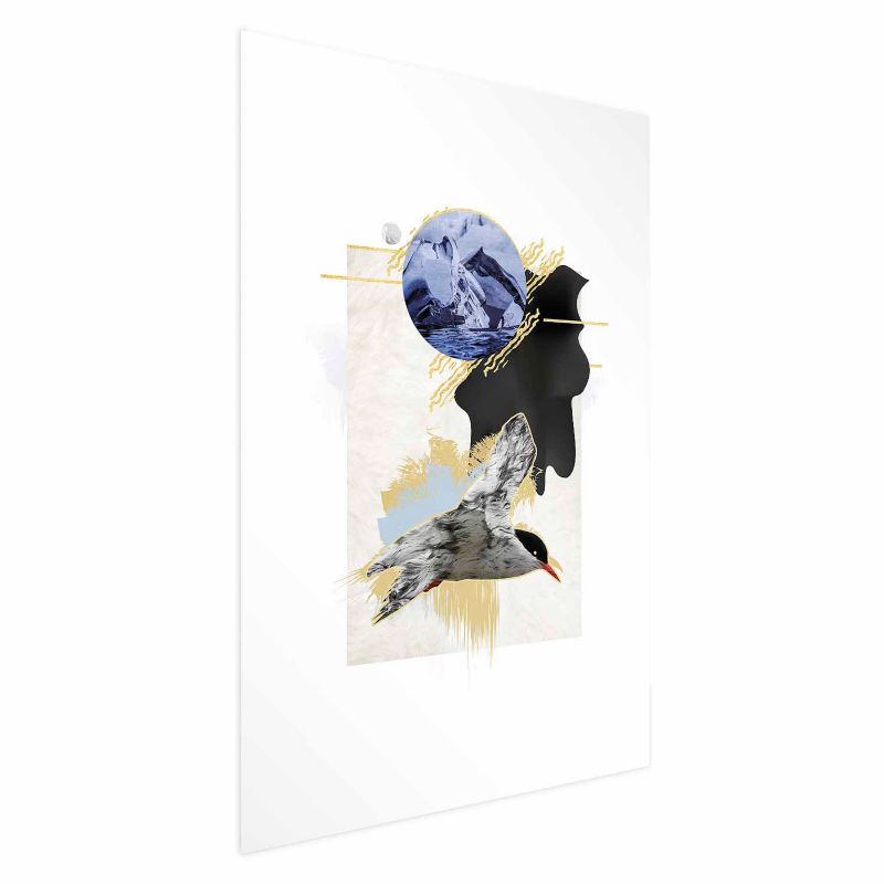 Plakat Artgeist Rybitwa antarktyczna 21x30 cm bez ramy 1 szt