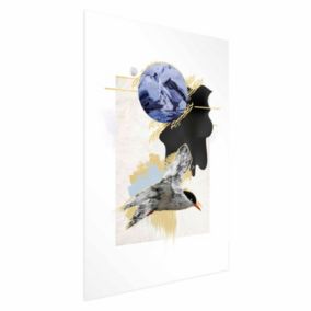 Plakat Artgeist Rybitwa antarktyczna 40x60 cm bez ramy 1 szt