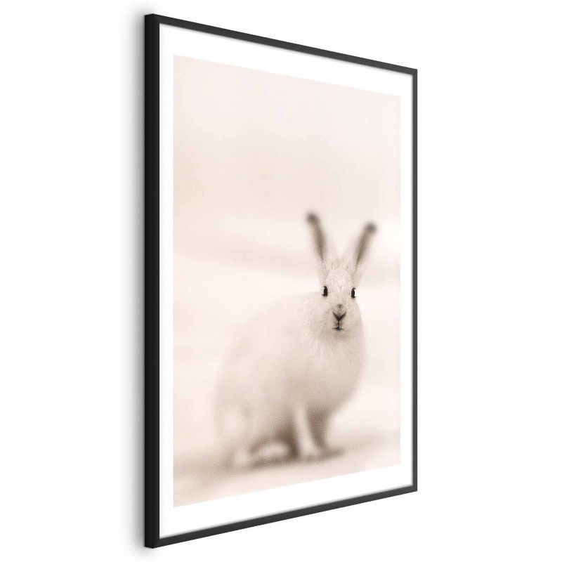 Plakat Artgeist Strachliwe spojrzenie 29,7x42 cm z ramą czarną 1 szt