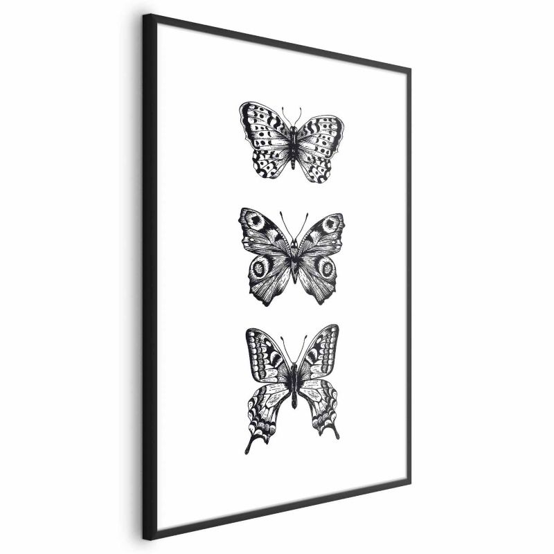 Plakat Artgeist Trzy motyle 40x60 cm z ramą czarną 1 szt
