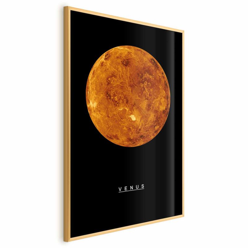 Plakat Artgeist Wenus 29,7x42 cm z ramą złotą 1 szt