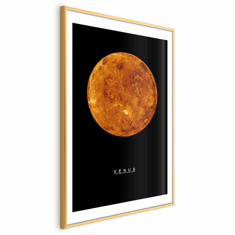Plakat Artgeist Wenus 29,7x42 cm z ramą złotą 1 szt