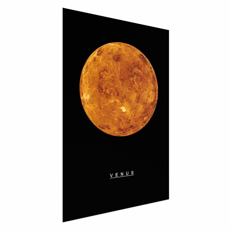 Plakat Artgeist Wenus 60x90 cm bez ramy 1 szt