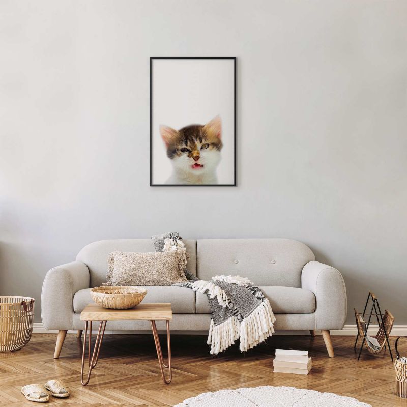 Plakat Artgeist Zirytowany kot 29,7x42 cm z ramą czarną 1 szt