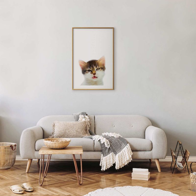 Plakat Artgeist Zirytowany kot 29,7x42 cm z ramą złotą 1 szt