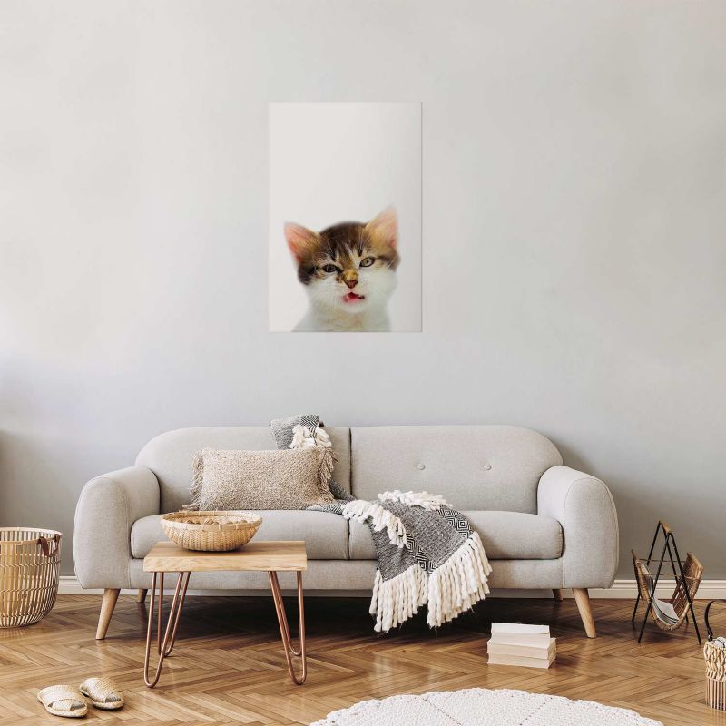 Plakat Artgeist Zirytowany kot 40x60 cm bez ramy 1 szt