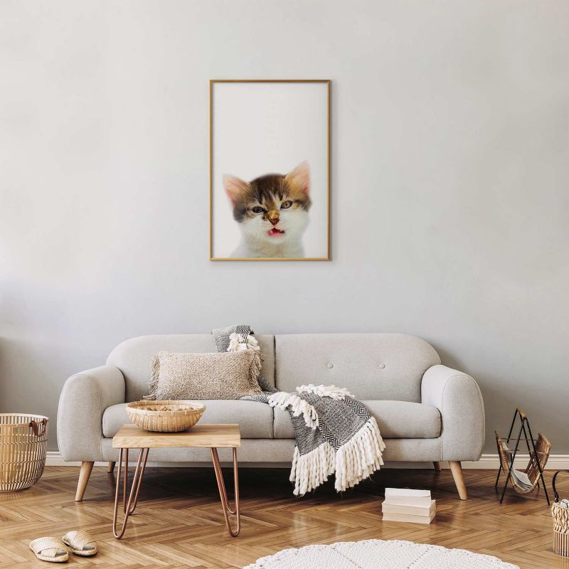 Plakat Artgeist Zirytowany kot 40x60 cm z ramą złotą 1 szt