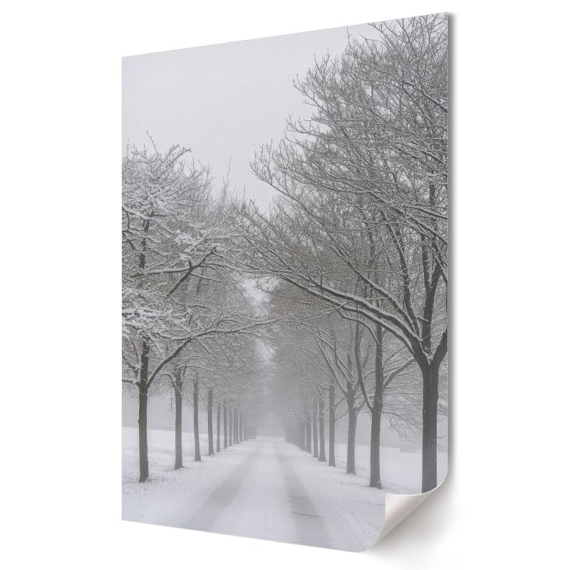 Plakat Wallfluent Format A4 Śnieżna aleja Artysta Nevara 1 szt.