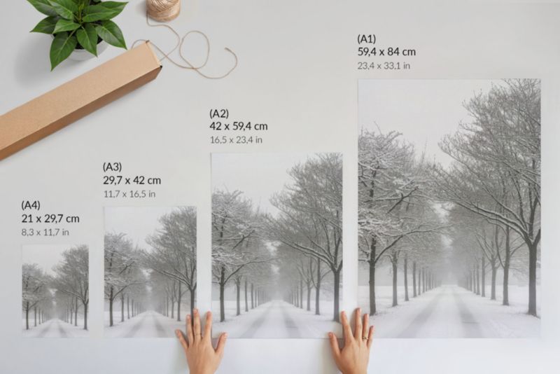 Plakat Wallfluent Format A4 Śnieżna aleja Artysta Nevara 1 szt.