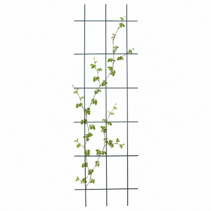 Podpora do roślin 4iQ Group kratka zielona prosta 45x150 cm 1 szt.