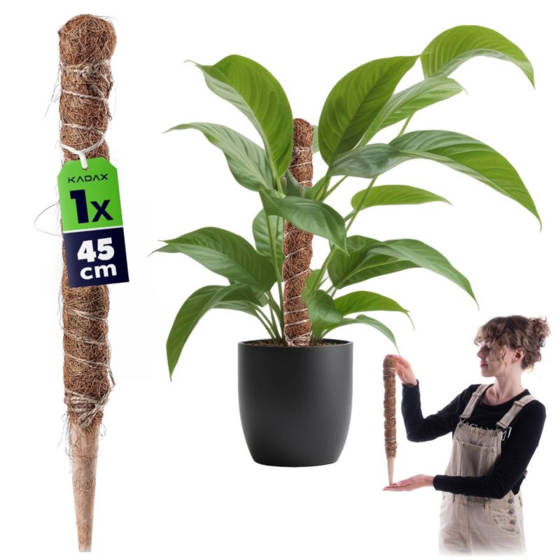 Podpora KADAX Do Roślin Kwiatów 45cm Palik Kokosowy 45mm Do Monstery 1 szt.