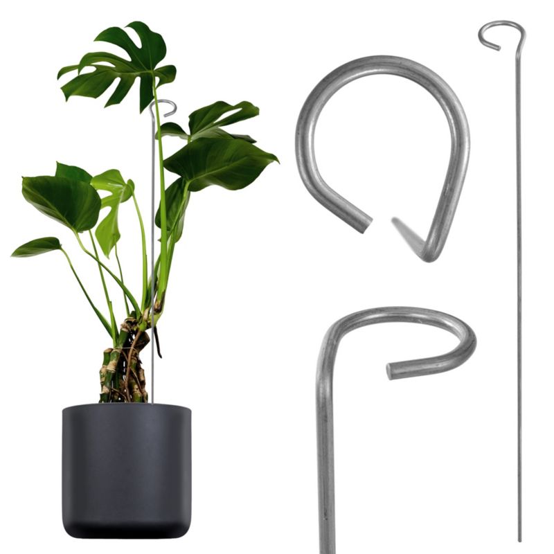 Podpora KADAX Do Roślin Kwiatów Róż Stal 60 cm 1 szt.