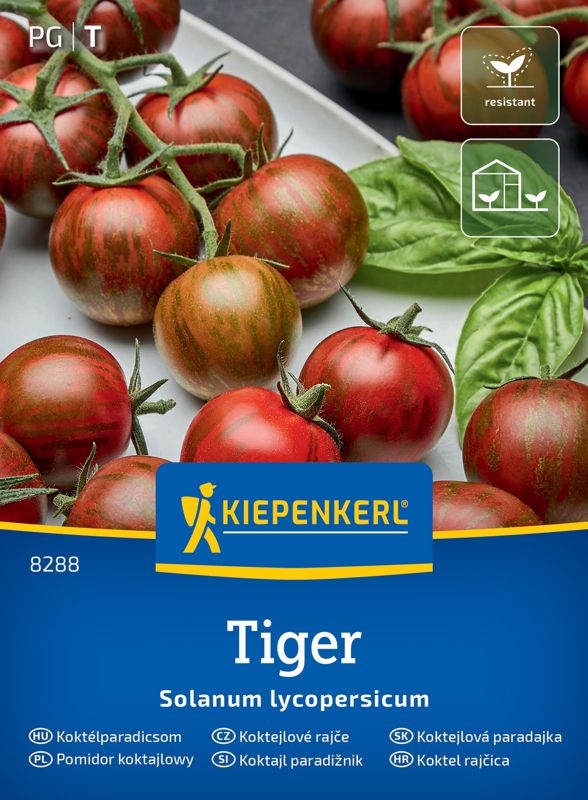 Pomidor Koktajlowy Tiger