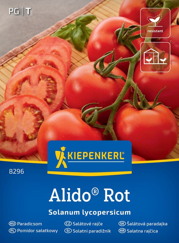 Pomidor sałatkowy Alido Rot