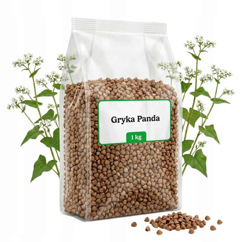 Poplon gryka Ogrodowy Młyn roślina miododajna nasiona poprawa gleby na chwasty 1 kg.