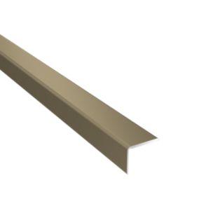 Profil aluminiowy schodowy GoodHome 25 x 1200 mm tytan nr 28