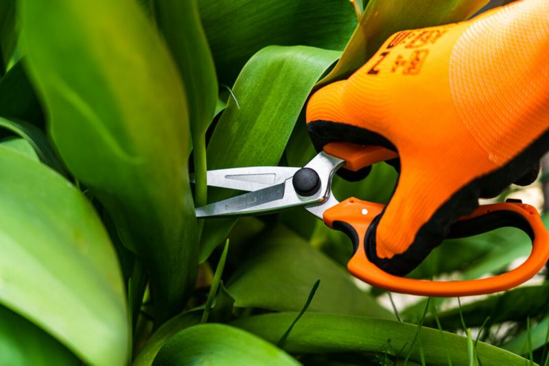Rękawice robocze NEO TOOLS poliester pokryty nitrylem rozm. 10 wielokolorowe 1 para