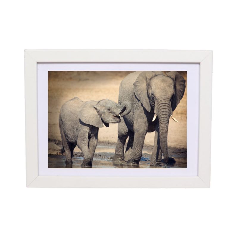 Ramka na zdjęcie BD art Basic 15x21 z passe-partout 13x18 cm biała 1 szt.