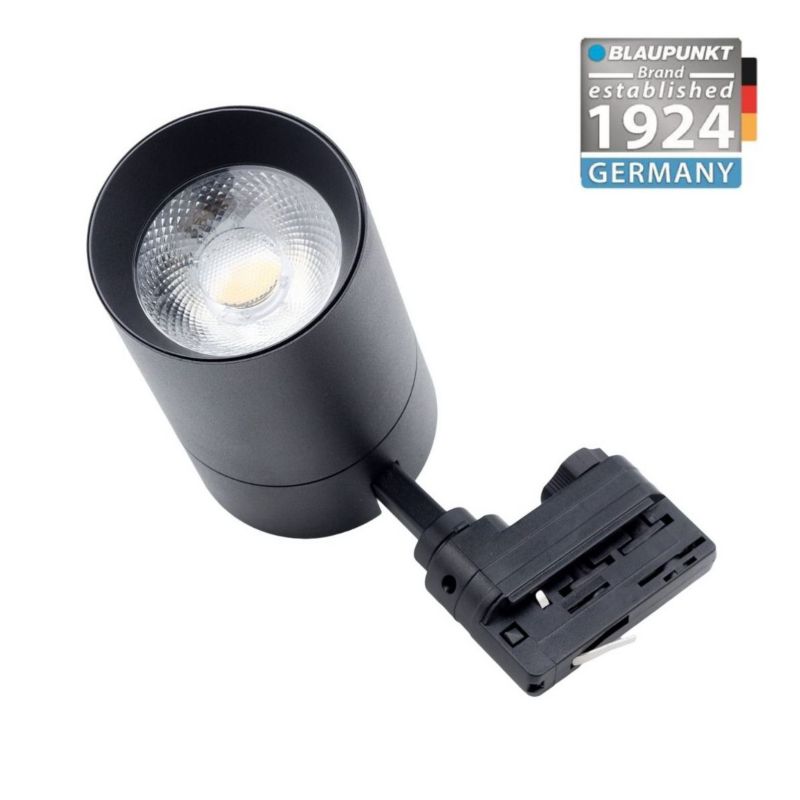 Reflektor 3-fazowy Blaupunkt Vision 30W CCT Ściemnialny z regulowaną barwą świecenia 1 szt.