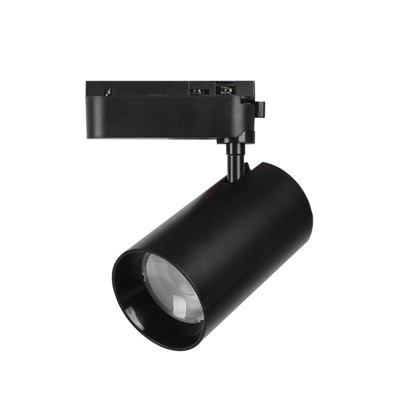 Reflektor LED 1-fazowy Blaupunkt Vision 30W czarny CCT z przełącznikiem barwy światła 1 szt.