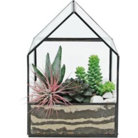 Rośliny mix w terrarium domek