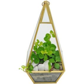 Rośliny w terrarium wiszącym S