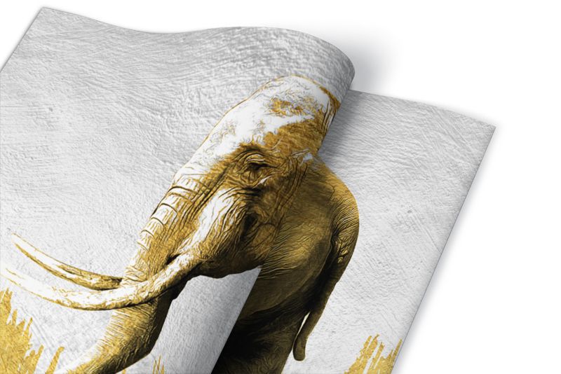 Samoprzylepna okleina Tulup 100x50 cm Słoń 1 szt.