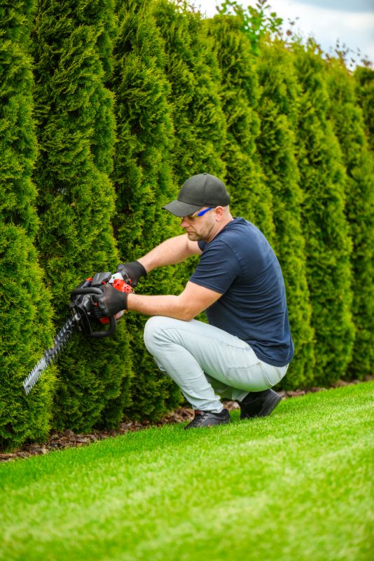 Sekator Cedrus Nz02 Nożyce Spalinowe Do Żywopłotu Krzaków Krzewów Spalinowe 61Cm 1szt.