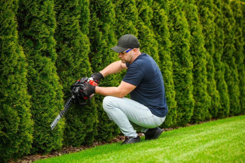 Sekator Cedrus Nz02 Nożyce Spalinowe Do Żywopłotu Krzaków Krzewów Spalinowe 61Cm 1szt.