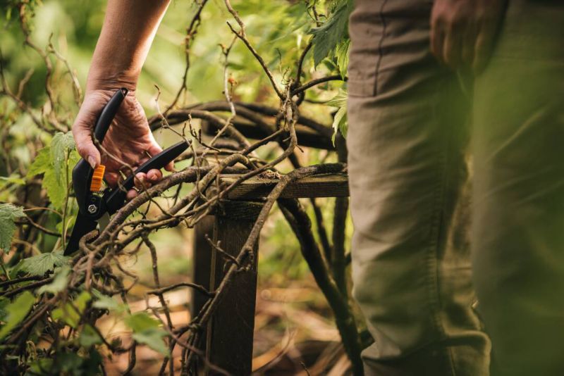 Sekator nożycowy Fiskars SingleStep
