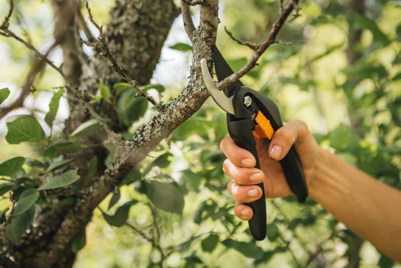 Sekator nożycowy Fiskars SingleStep