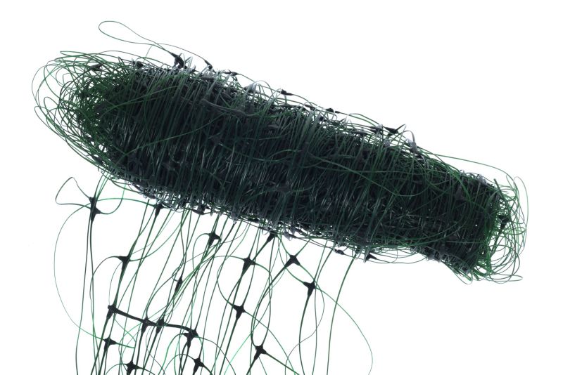 Siatka do pnączy 2 x 5 m