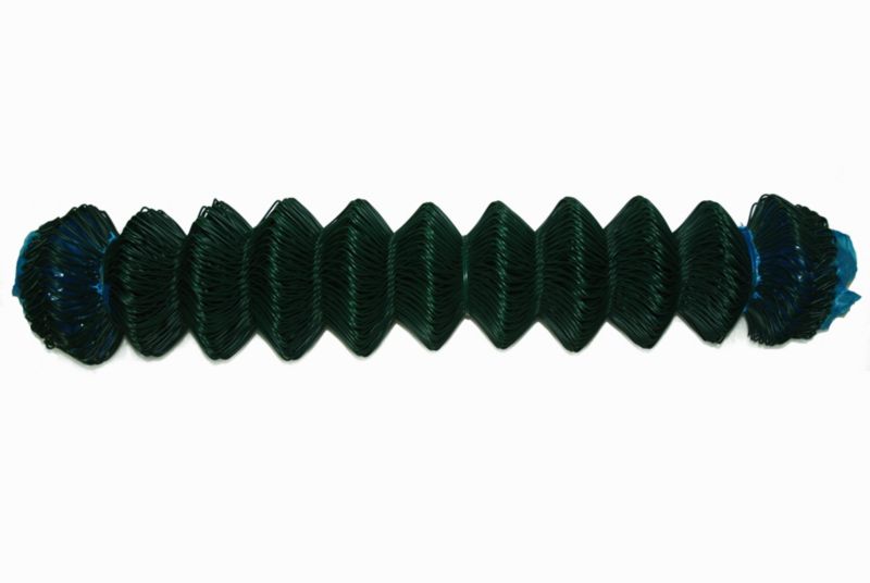 Siatka ogrodzeniowa pleciona 1 x 10 m oczko 60 x 60 mm zielona