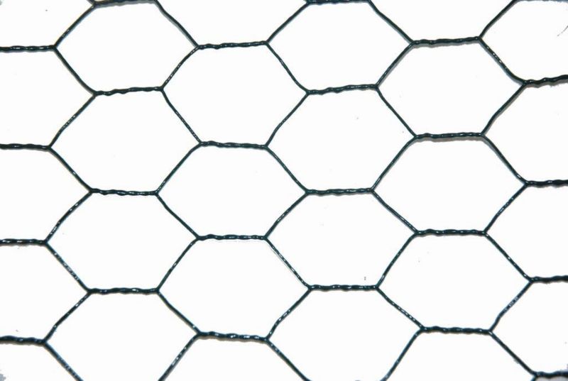 Siatka ogrodzeniowa pleciona Blooma 1 x 10 m stal powlekana