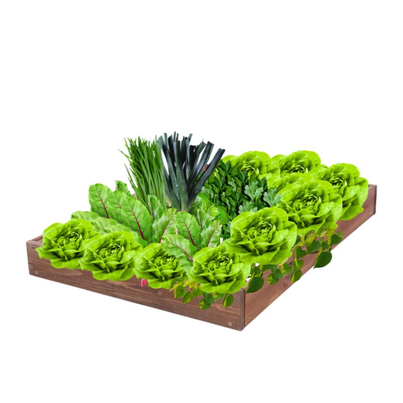 Skrzynia warzywna MODO24 regulowana inspekt 9x90x60 cm brązowe impregnowane drewno 1 szt