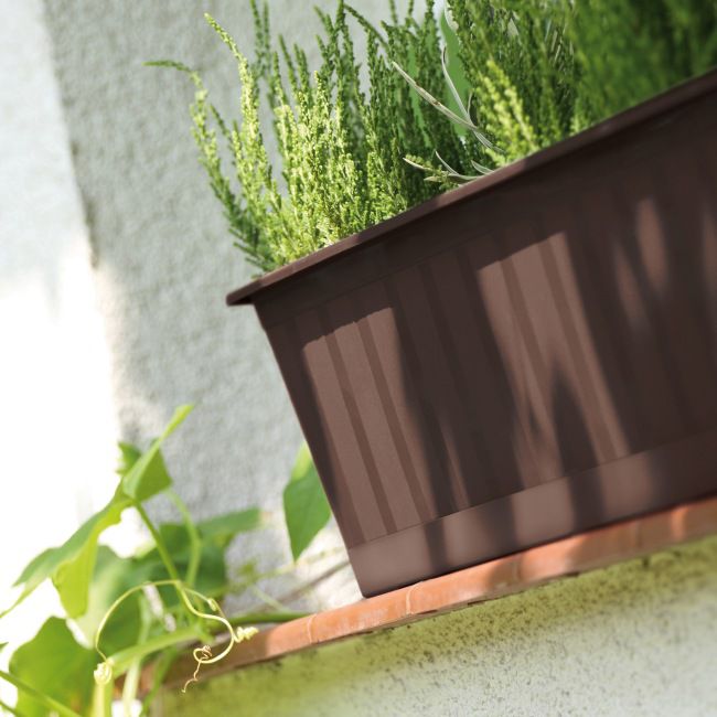 Skrzynka balkonowa Prosperplast 60 cm brąz