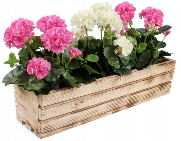 Skrzynka drewniana KOTARBAU balkonowa opalana 60 cm 1 szt.