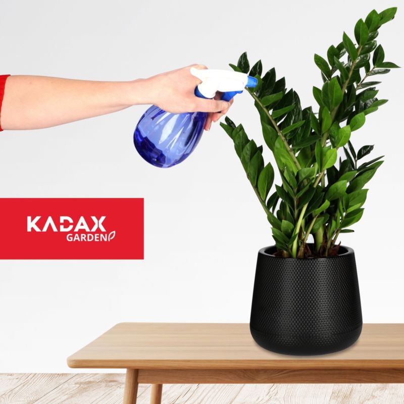 Spryskiwacz KADAX Opryskiwacz Ręczny Do Roślin 500 ml 1szt.