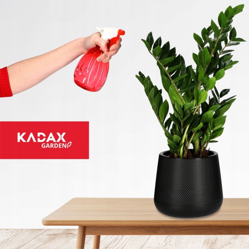 Spryskiwacz KADAX Opryskiwacz Ręczny Dozownik 500 ml 1szt.