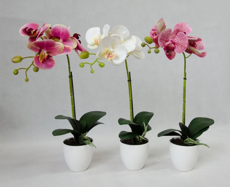 Storczyk sztuczny w doniczce Direct Home &Garden 42 cm 1 szt.