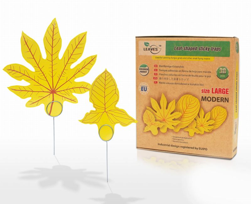 Stylowe listki kleiste LEAVES REGULAR NATURAL doniczkowe na szkodniki panko 30 szt.
