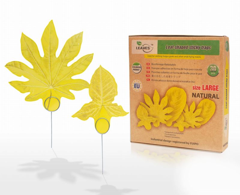 Stylowe listki LEAVES LARGE NATURAL kleiste doniczkowe na szkodniki panko 30 szt.